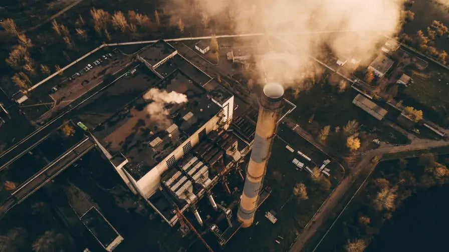 Is Landfill or Incineration the Solution for Waste Plastics