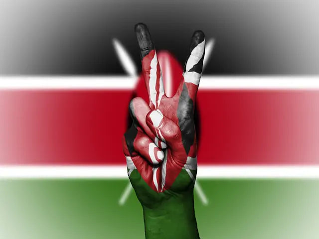Recycling Around the World A-Z: Kenya