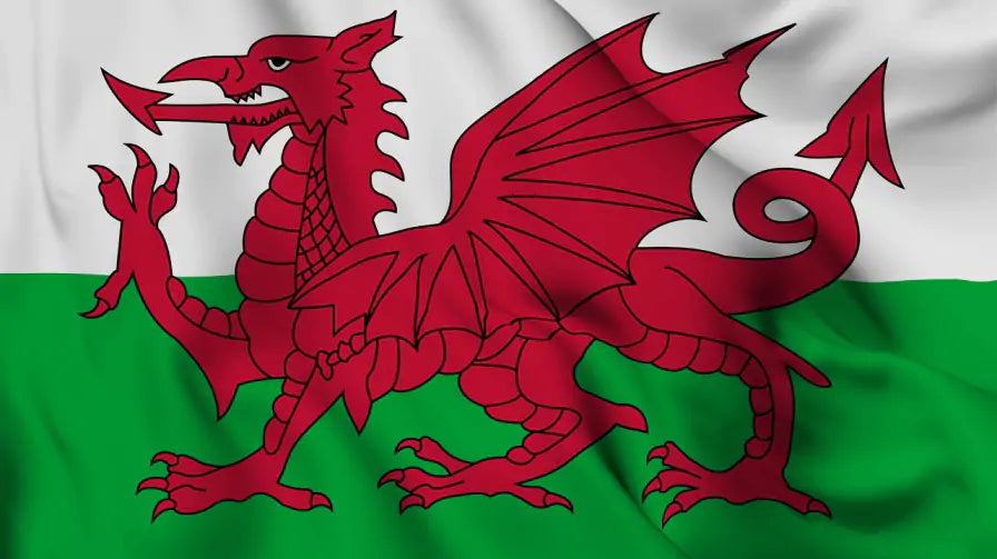 Recycling In The Home Nations - Wales