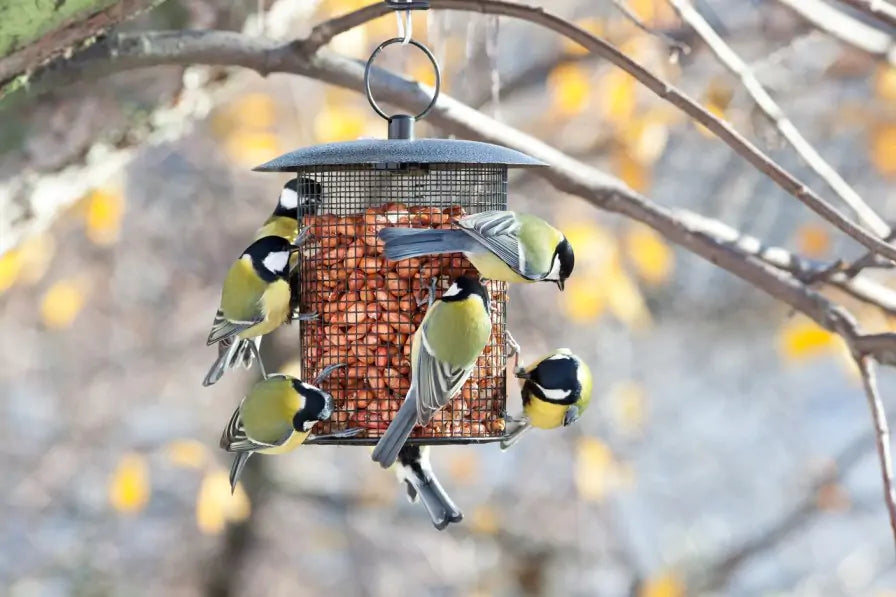 Upcycling Projects to Try : Number 9 : Bird Feeder