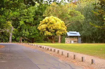 Greenest Cities