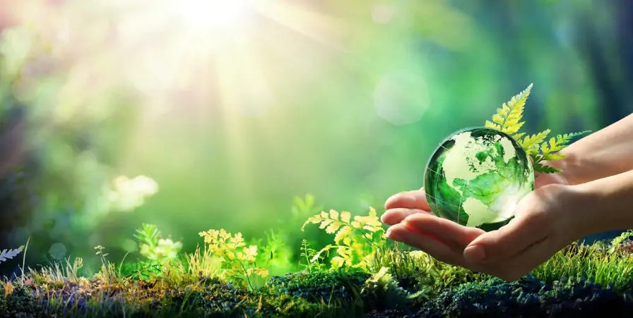 September Recycling Challenge: Do Your Bit for Recycle Week 2019
