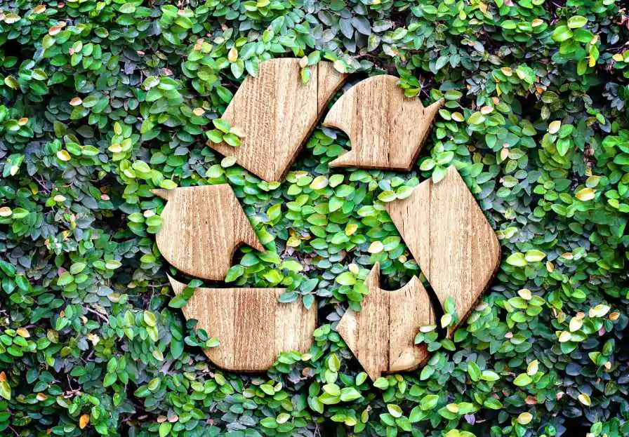 Portsmouth and Gosport Councils Shamed in National Recycling League Table