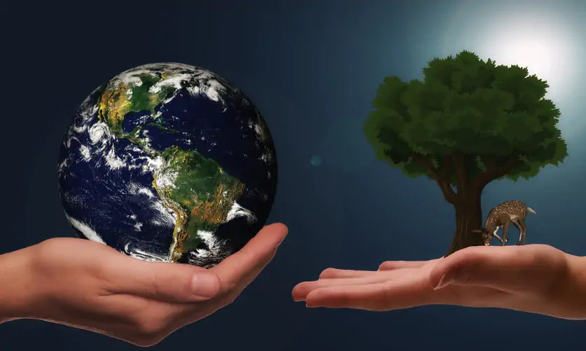 4 ‘Sustainable’ Habits That Aren’t Actually Good for the Planet