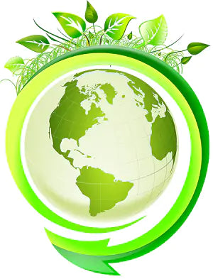 What Can Be Recycled