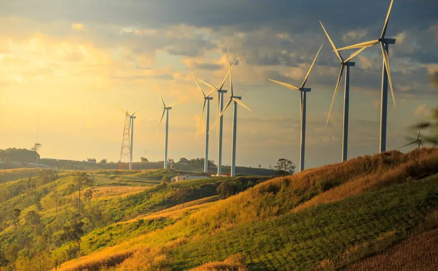 Clean Energy Focus: Wind Power