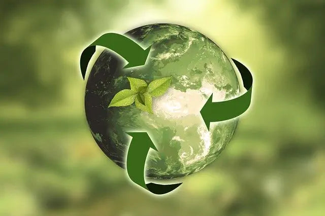 Sustainable Polymers