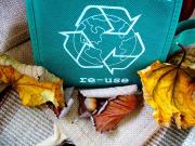 Pandemic Recycling
